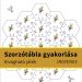 Szorzótábla gyakorlása játékosan – méhkaptár építő feladatlap másodikosoknak, kivágható hatszög alakú lapokkal.