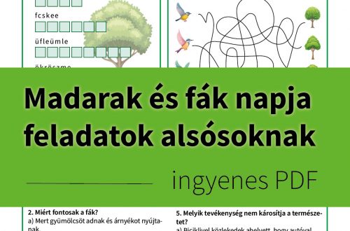 Madarak és fák napja feladatok gyerekeknek – játékos feladatok