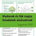 Madarak és fák napja feladatok gyerekeknek – játékos feladatok