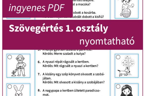 Szövegértés 1. osztály nyomtatható feladatlap, gyerekeknek szórakoztató kérdésekkel és képekkel.