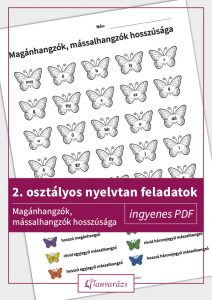 Színezős feladatlap pillangókkal. Minden pillangón egy betű látható, alul a feladat leírása található, amely a 2. osztályos nyelvtan feladatok részét képezi, segítve a magán- és mássalhangzók hosszúságának és jegyeinek gyakorlását.